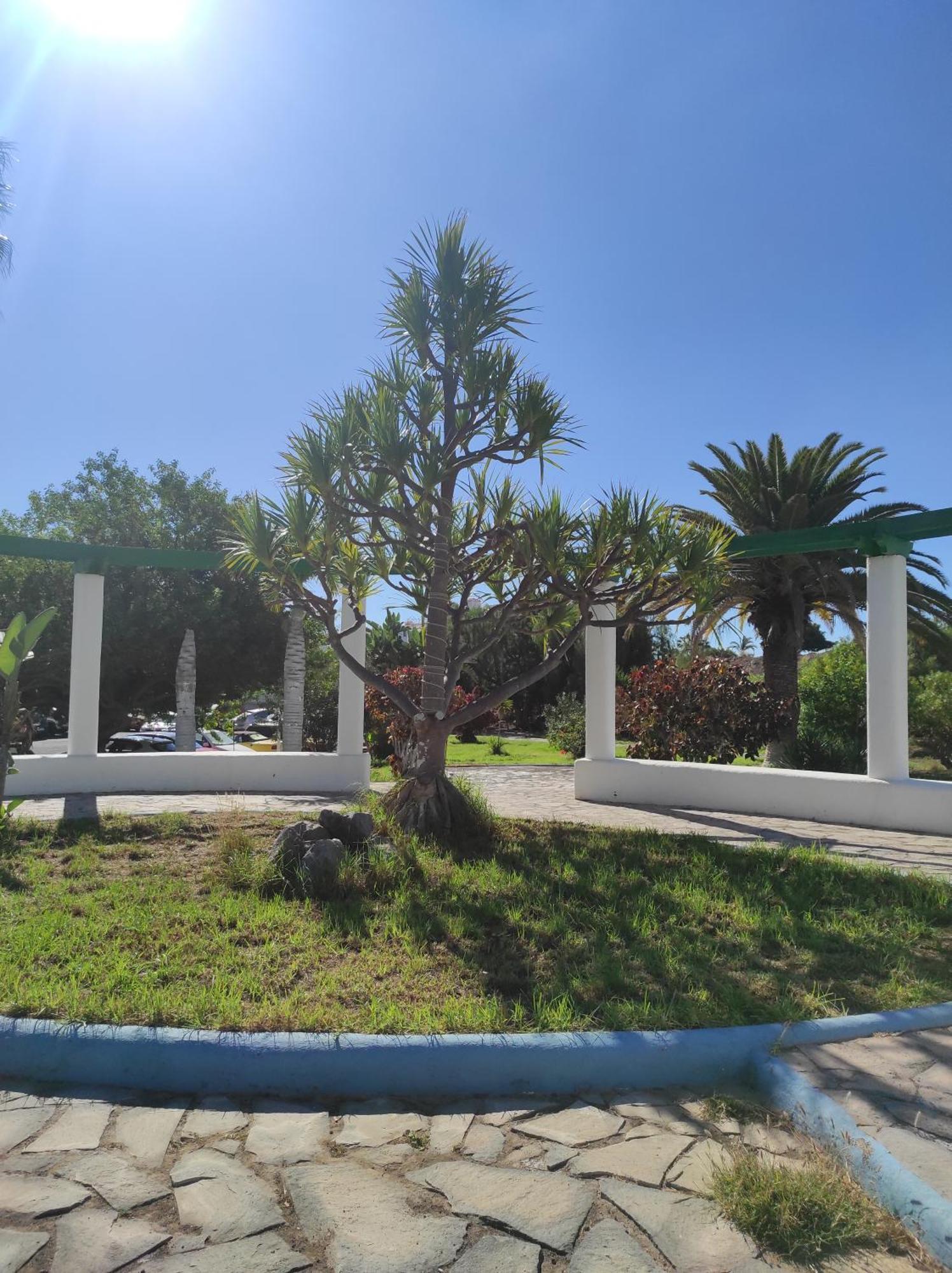 Maria Luxury Apartament Golf Del Sur Tenerife Сан Мигель Экстерьер фото